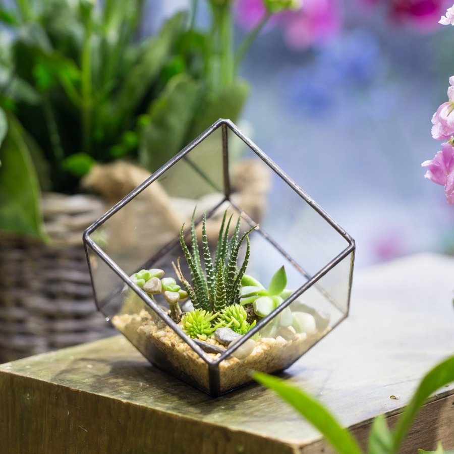 Polyhedron geometric clear glass plant Box image
