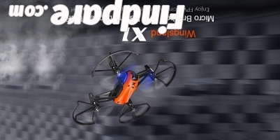 Wingsland X1 drone photo 1