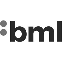 BML Wireless headphones Price List (2024)
