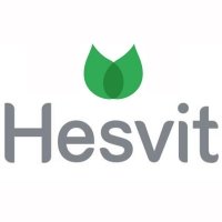 Hesvit