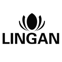 LINGAN TV boxes Price List (2024)