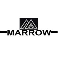 MARROW Wireless headphones Price List (2024)