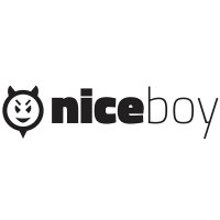Niceboy Wireless earphones Price List (2024)