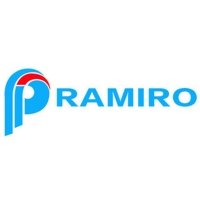 PRAMIRO Dash cams Price List (2024)