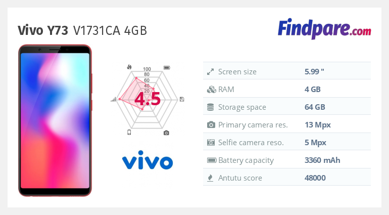 Vivo Y73 V1731CA 4GB smartphone Cheapest Prices Online at FindPare