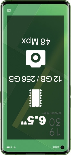Oppo Reno4 Pro 5G 12GB · 256GB smartphone
