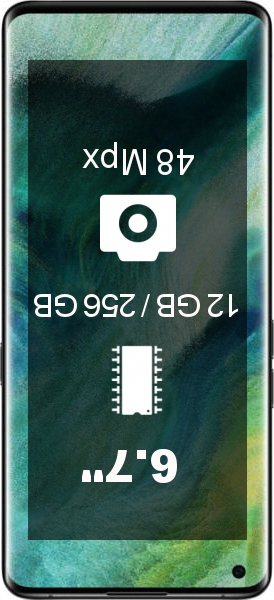 Oppo Find X2 Pro 12GB · 256GB smartphone