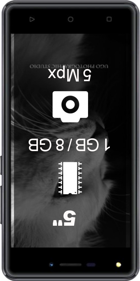 DEXP BL250 smartphone
